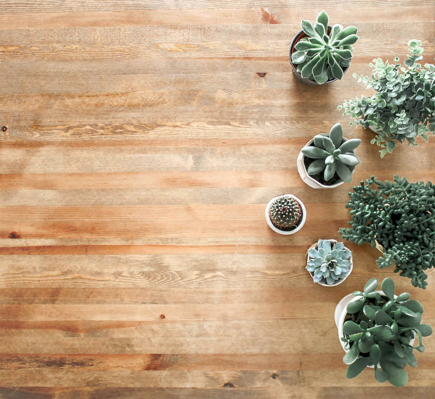 Home & Décor