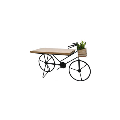 Shelf Bicycle