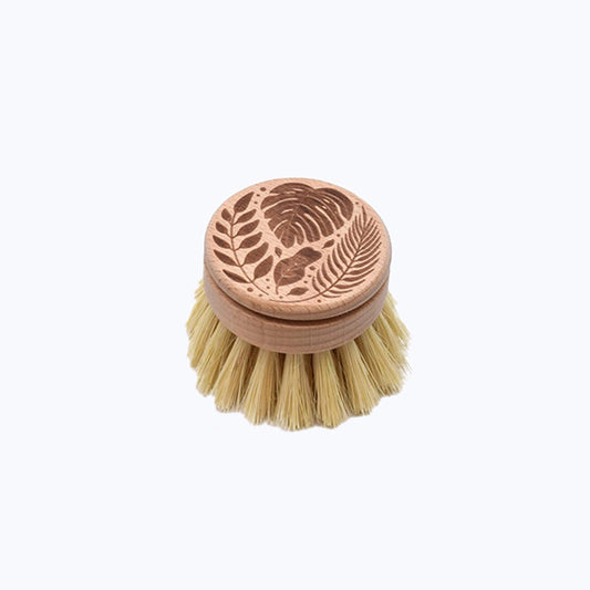 Eco Brush Refill for Long Handle Brush