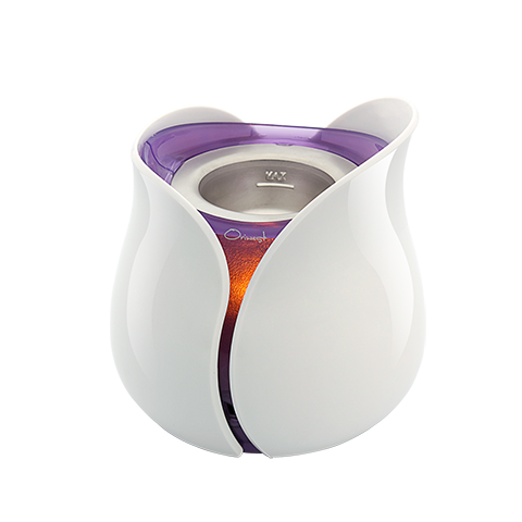 Eva Mini USB Diffuser