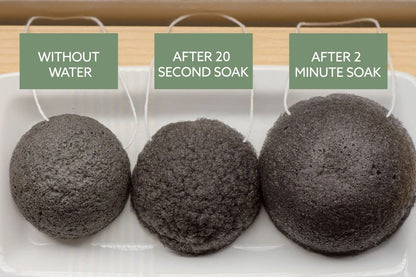 Luna Charcoal Sponge
