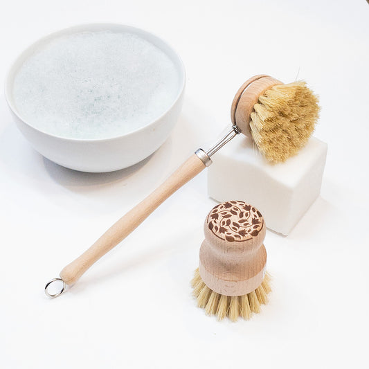 Eco Brush - Long Handle